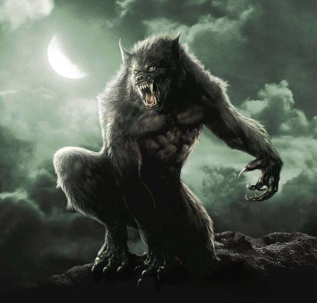 中世纪魔物不完全研究(七)