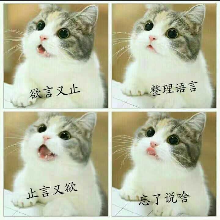 浅谈那些让人又爱又恨的小白文
